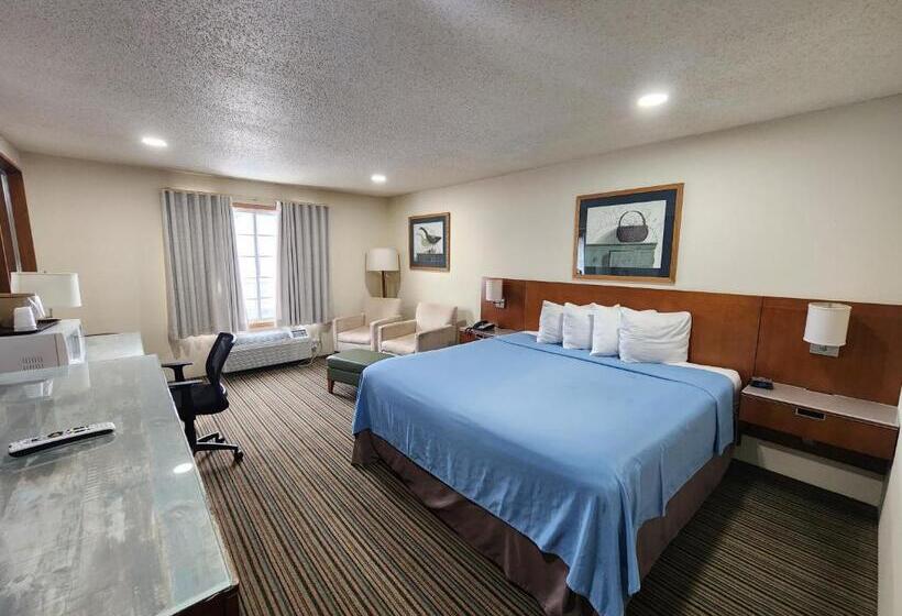 汽车旅馆 Windsor Place Inn