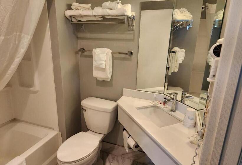 汽车旅馆 Windsor Place Inn