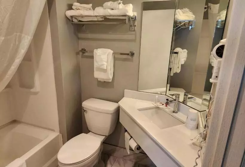 モーテル Windsor Place Inn