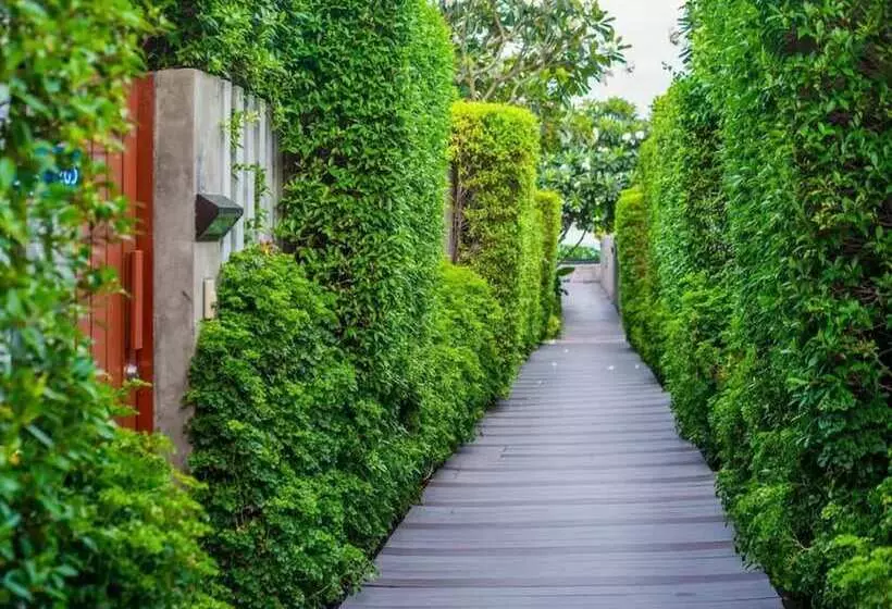 리조트 Synergy Samui