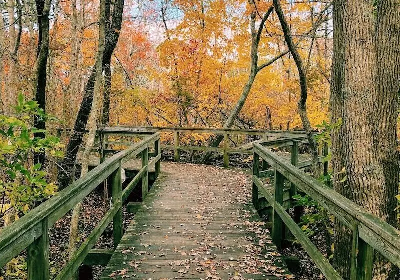 リゾートホテル The Villages At Ocean Edge