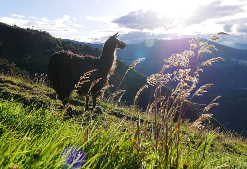 مبيت وإفطار El Cedro Soñado