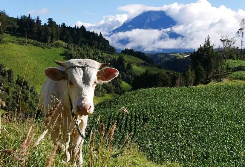 ベッドアンドブレックファースト El Cedro Soñado