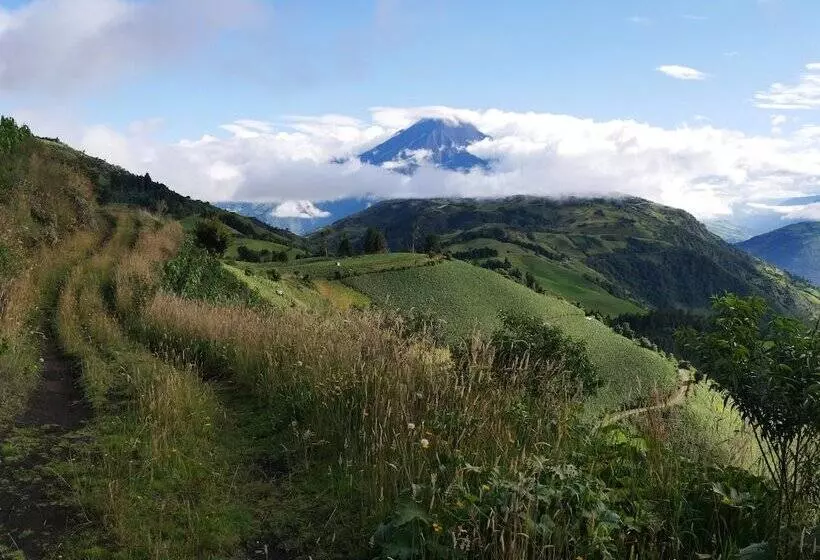 ベッドアンドブレックファースト El Cedro Soñado