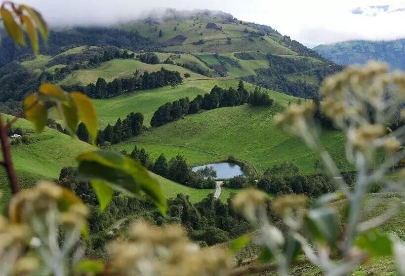 ベッドアンドブレックファースト El Cedro Soñado