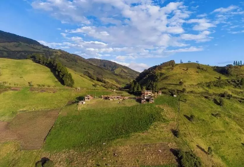 ベッドアンドブレックファースト El Cedro Soñado