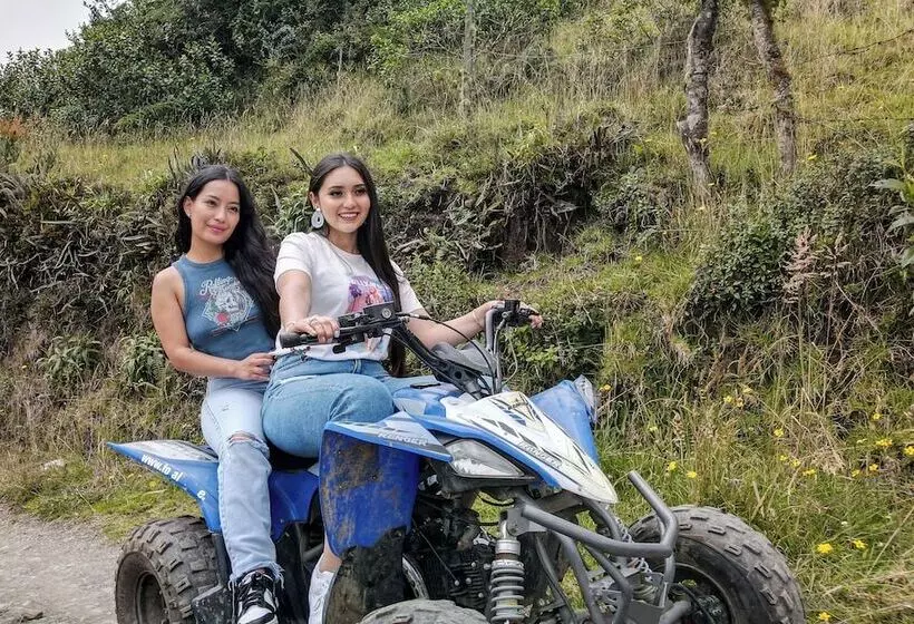 ベッドアンドブレックファースト El Cedro Soñado