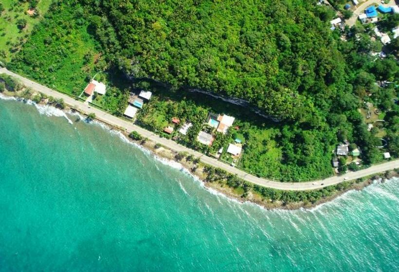 Отель Viaja Con Ganas Colibri