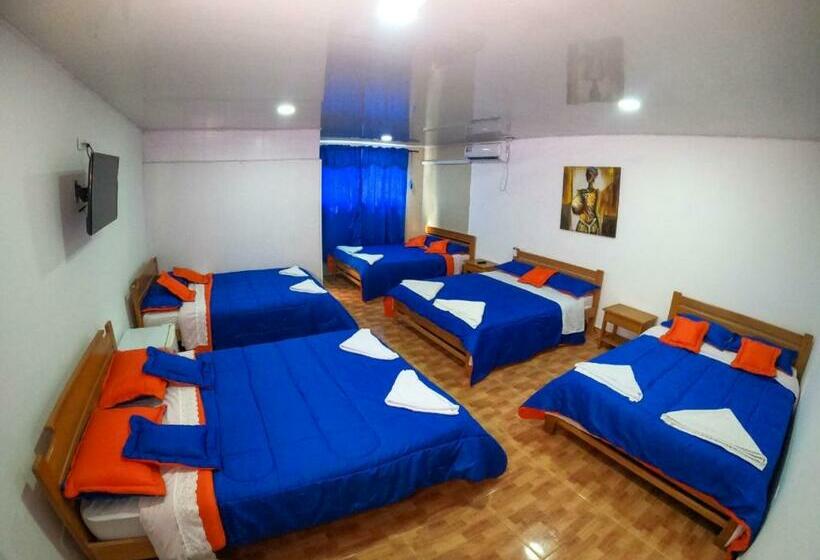 Отель Viaja Con Ganas Colibri