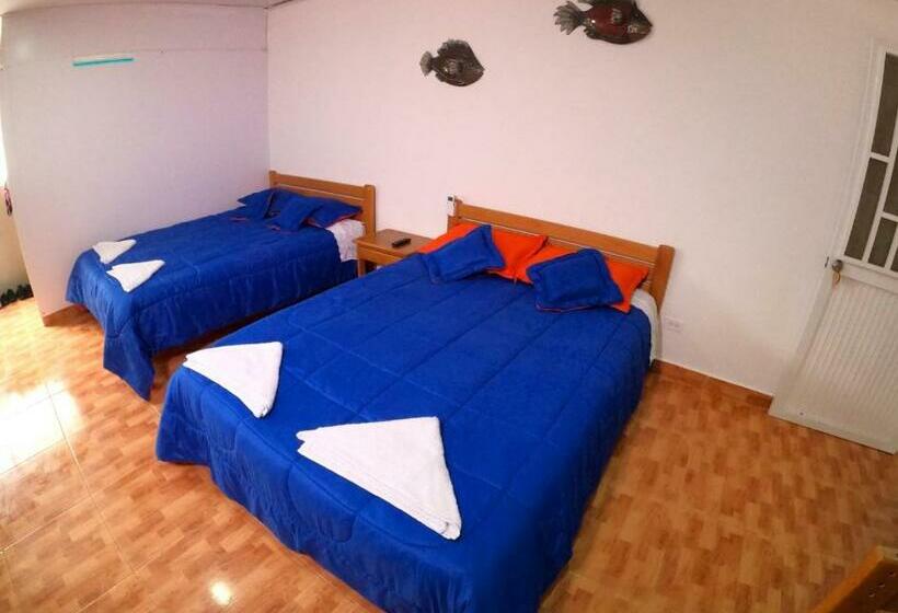 Отель Viaja Con Ganas Colibri