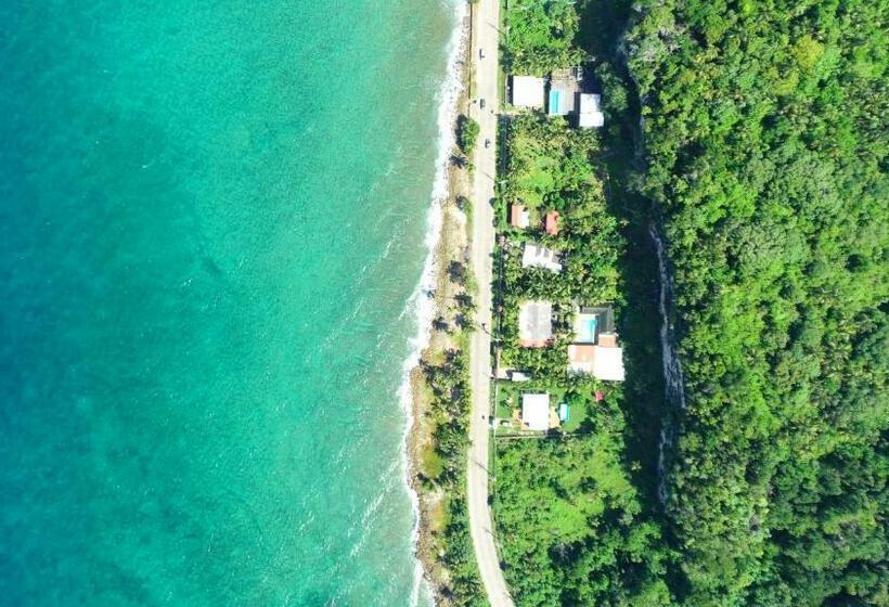 Отель Viaja Con Ganas Colibri