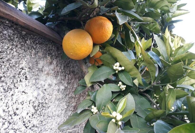 بنسيون Experience Unique Dans Un Lieu Magique