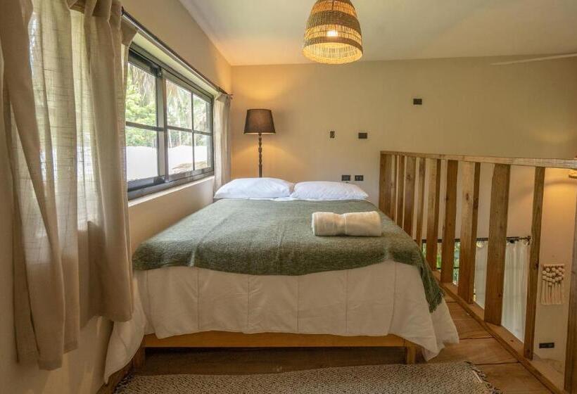 هاستل La Colmena Rd