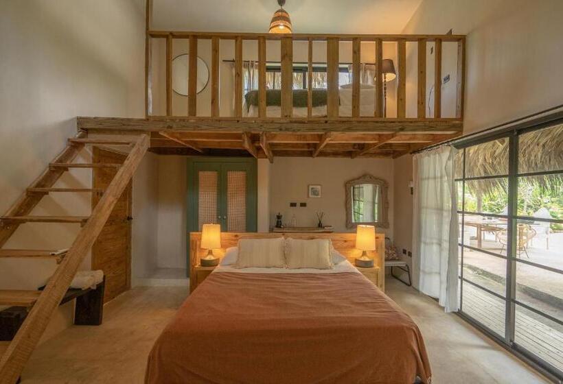 هاستل La Colmena Rd