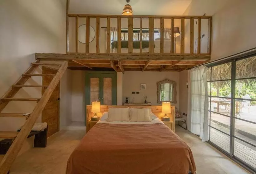 هاستل La Colmena Rd