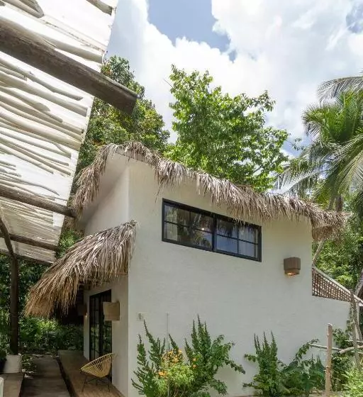 هاستل La Colmena Rd