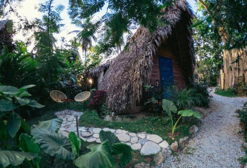 هاستل La Colmena Rd