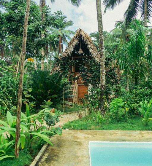 هاستل La Colmena Rd