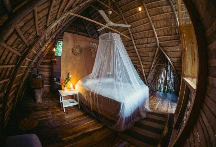 هاستل La Colmena Rd