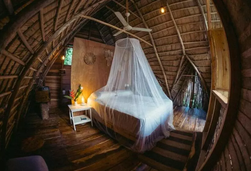 هاستل La Colmena Rd