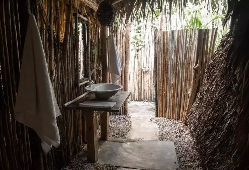 هاستل La Colmena Rd