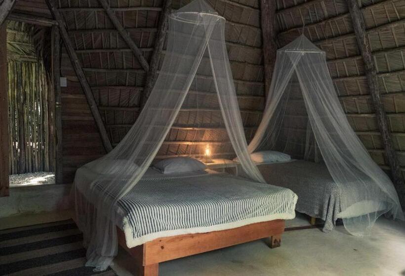 هاستل La Colmena Rd