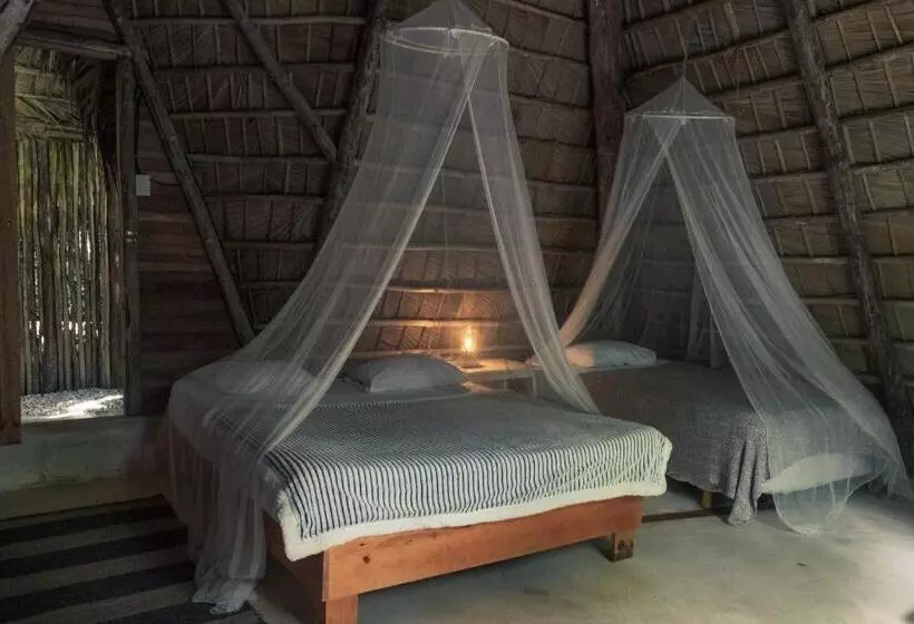 هاستل La Colmena Rd