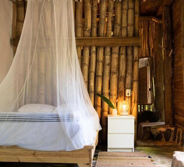 هاستل La Colmena Rd