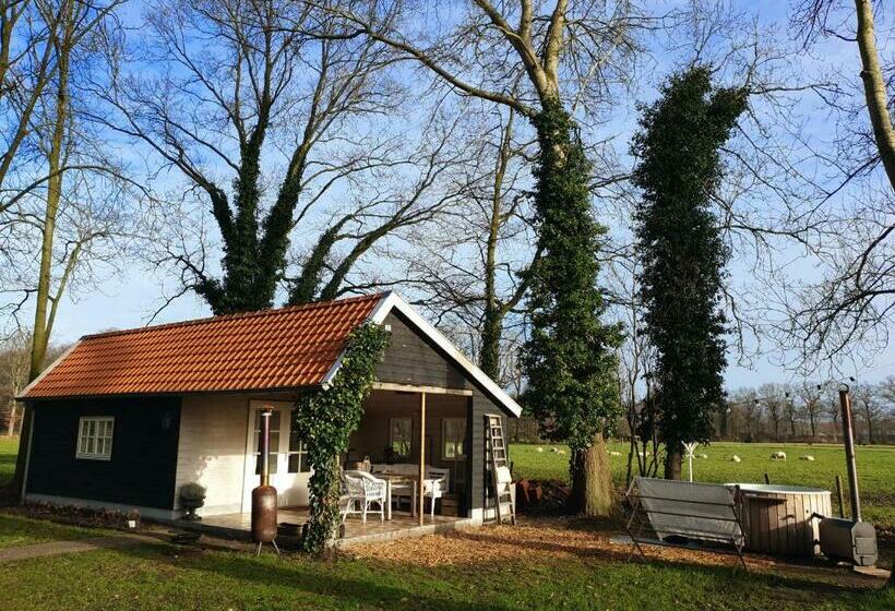 Bed And Breakfast Warm Welkom