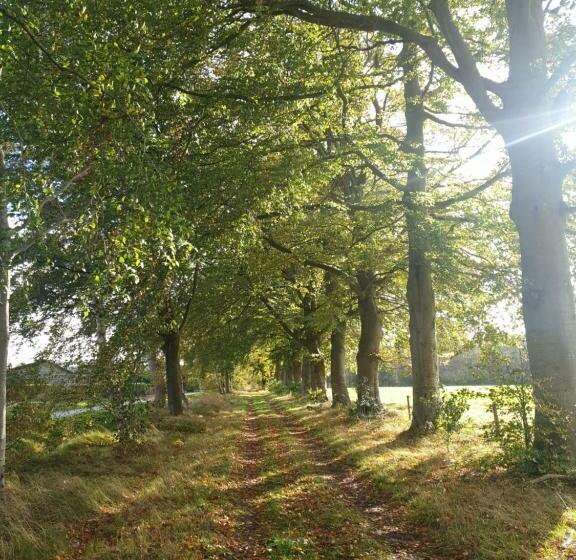 Bed And Breakfast Warm Welkom