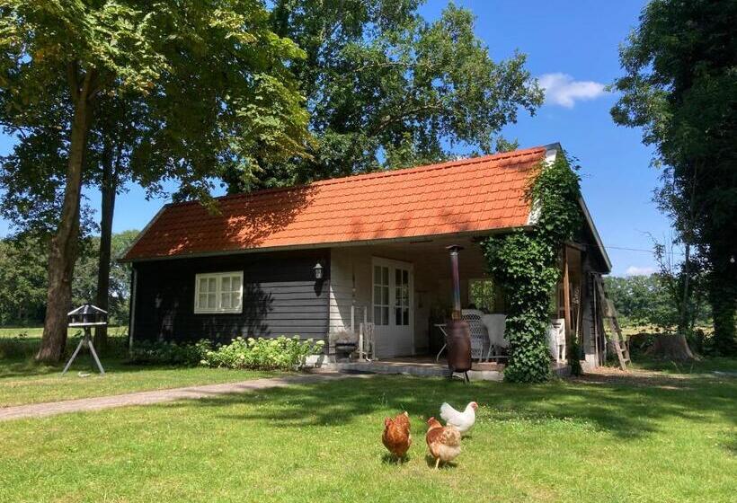 Bed And Breakfast Warm Welkom