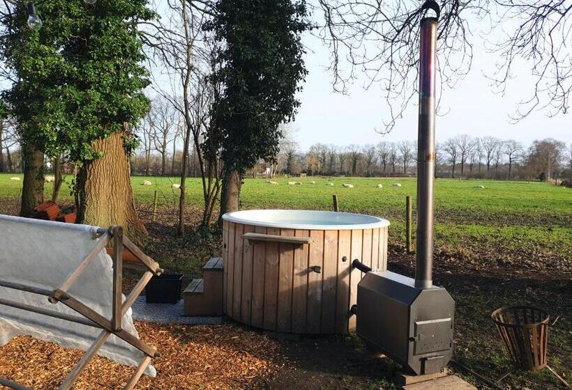 Bed And Breakfast Warm Welkom