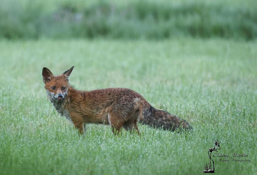 Bed And Breakfast Warm Welkom