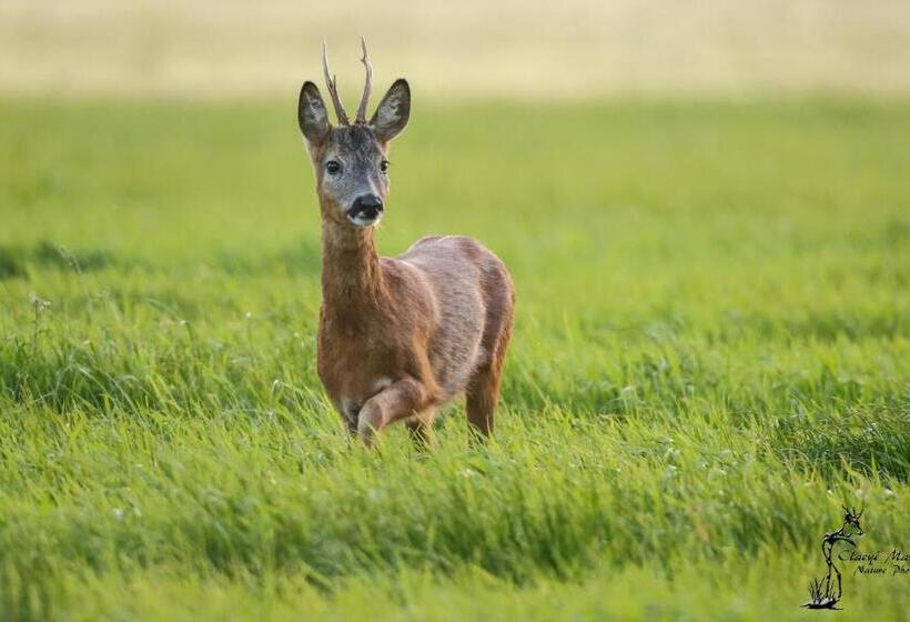 Bed And Breakfast Warm Welkom