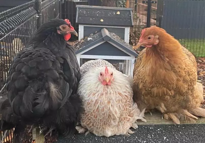 Casa Aan De Plas, B&b Met Sauna En Hottub Of Jacuzzi