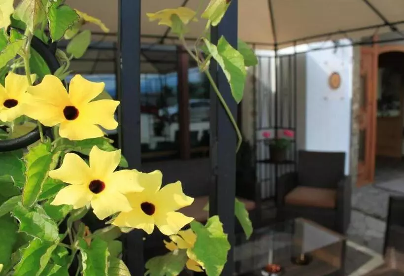 Airporthotel Salzburg Hotel Am Salzburg Airport