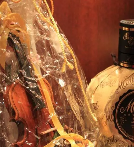 Airporthotel Salzburg Hotel Am Salzburg Airport