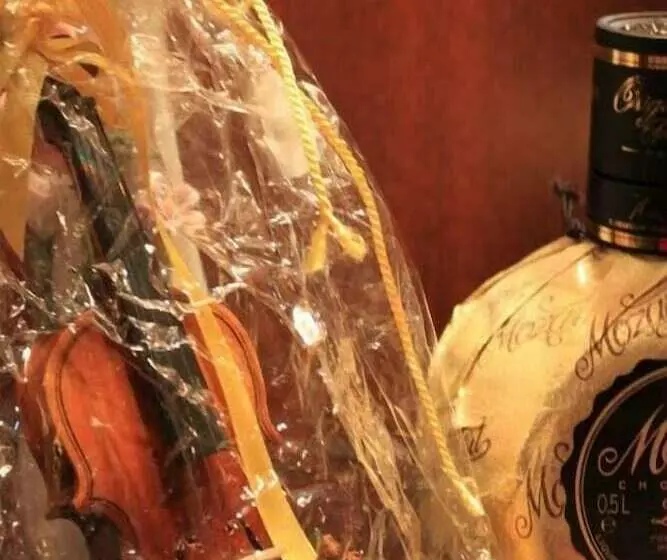 Airporthotel Salzburg Hotel Am Salzburg Airport