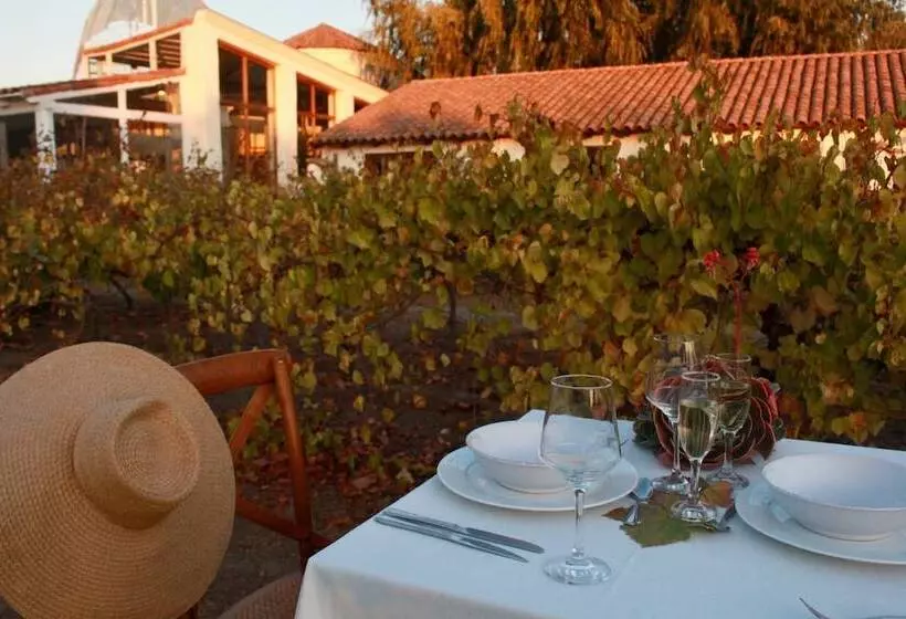 Отель Casablanca Spa & Wine