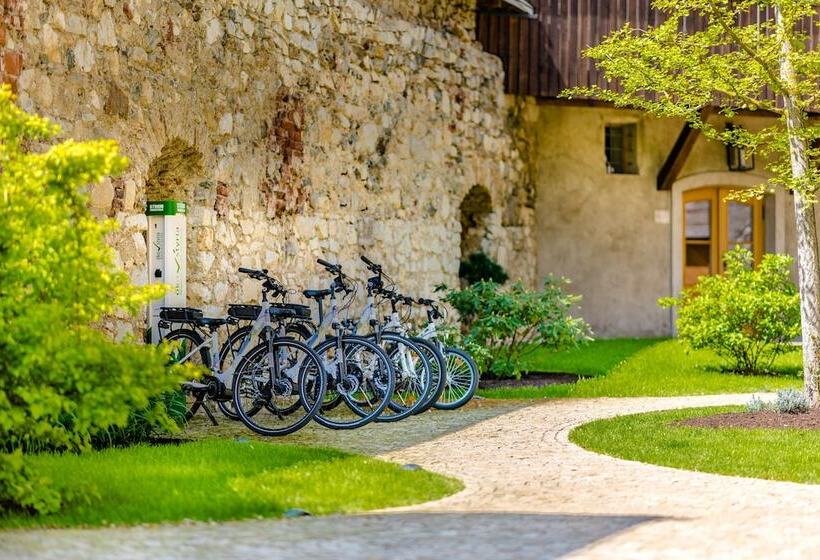 فندق Schloss Gabelhofen