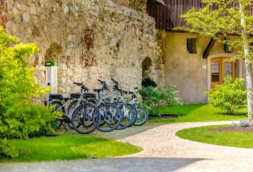 בית מלון כפרי Schloss Gabelhofen