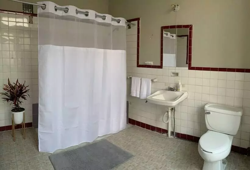 هاستل Iturbide500 Hostal