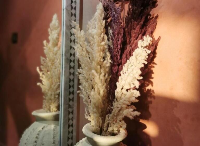 هاستل Teddy Pirate   Coliving