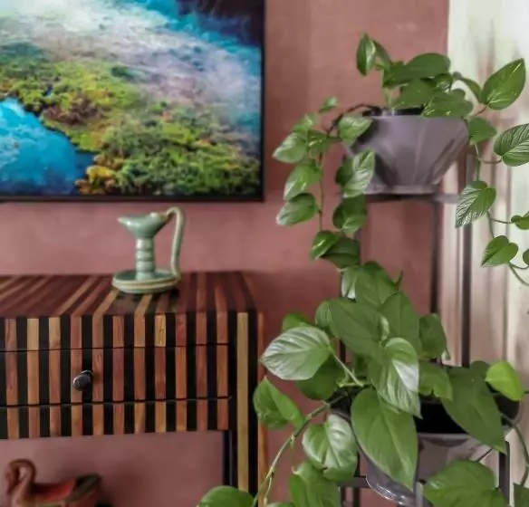 Retkeilymaja Teddy Pirate   Coliving