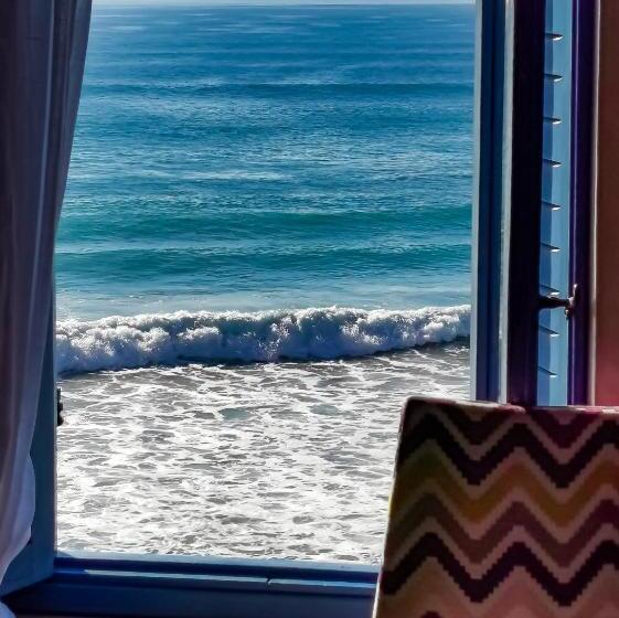 هاستل Teddy Pirate   Coliving