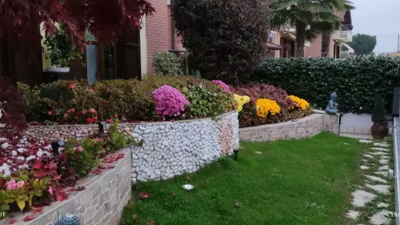 تختخواب و صبحانه New Home