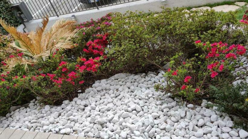 مبيت وإفطار New Home