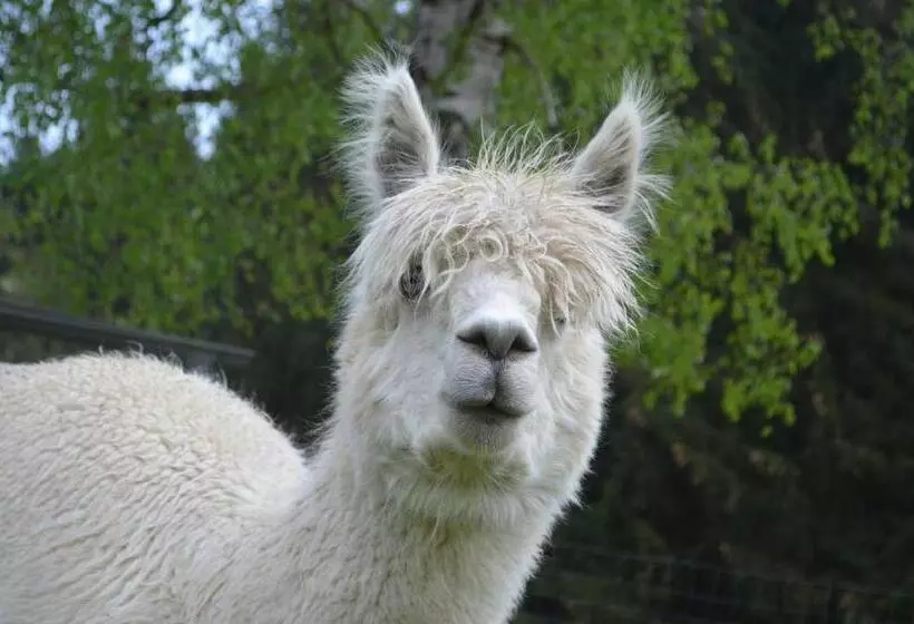 Exenbacher Hof   Pension