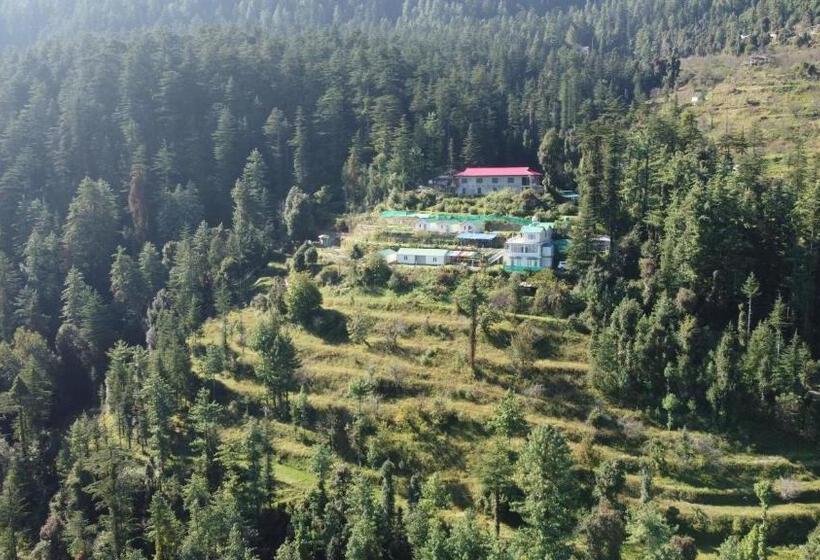 ホテル Small Victories Stay & Cafe