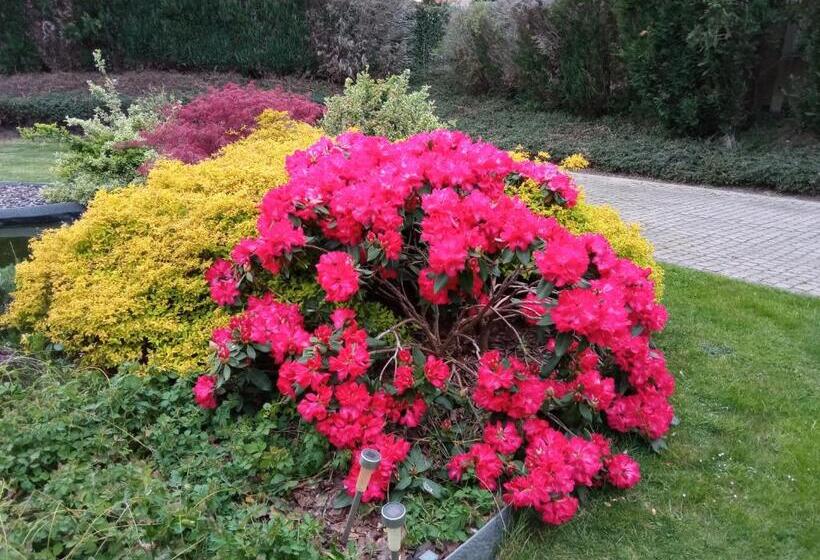 膳宿费 Le Moulin De Nancy